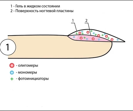 изображение:/pages/30/versions/40/186.webp